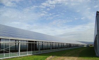 Enerpoint realises big PV greenhouses, ground PV plants, industrial roofs.